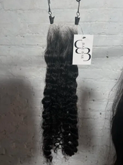Burmese Bae Curl 3" X 6"